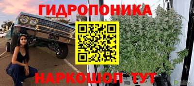2c-b Новозыбков